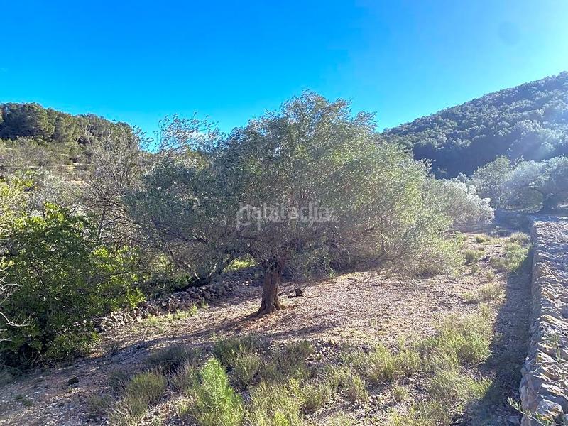 Foto 7d049dd1-bfe6-42ea-971d-cda3b19065ea. Landgut in Perelló (El)