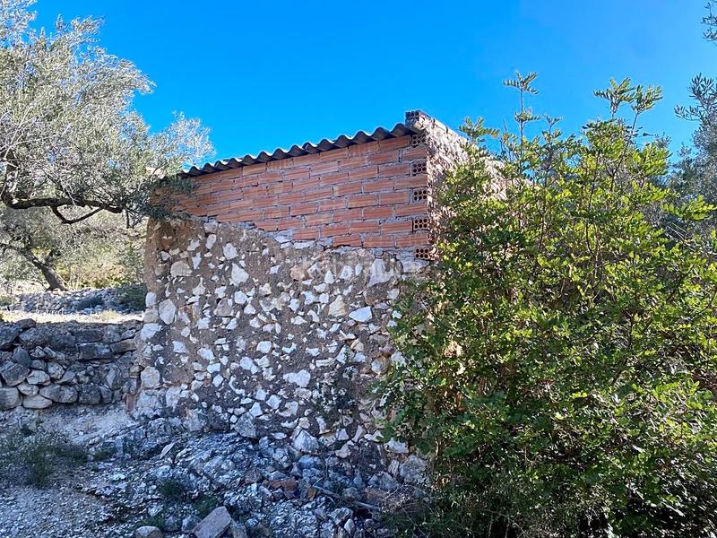 Foto aebd68b1-ef31-4175-857b-21c317a34521. Finca rústica a Perelló (El)