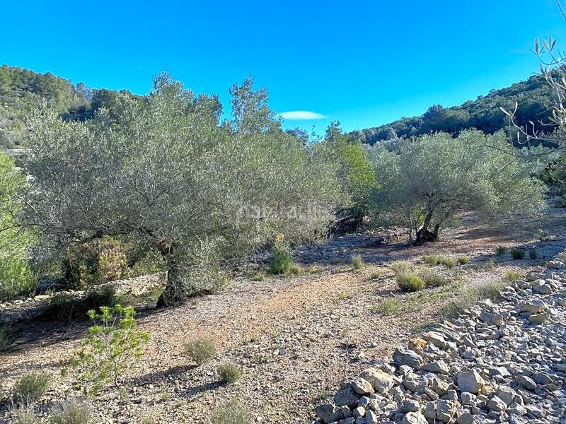Foto c1b70ce4-0b88-4266-a429-8156bc6104dd. Finca rústica a Perelló (El)