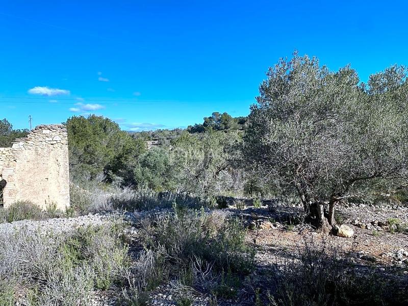 Foto fdcd2598-590f-446c-8270-cd10ce394213. Finca rústica a Perelló (El)