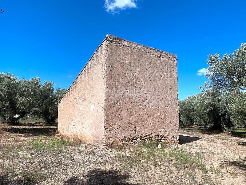 Foto 79735f2f-3a48-4ffe-b423-3c9559ae0ef2. Fondo rustico in Aldover