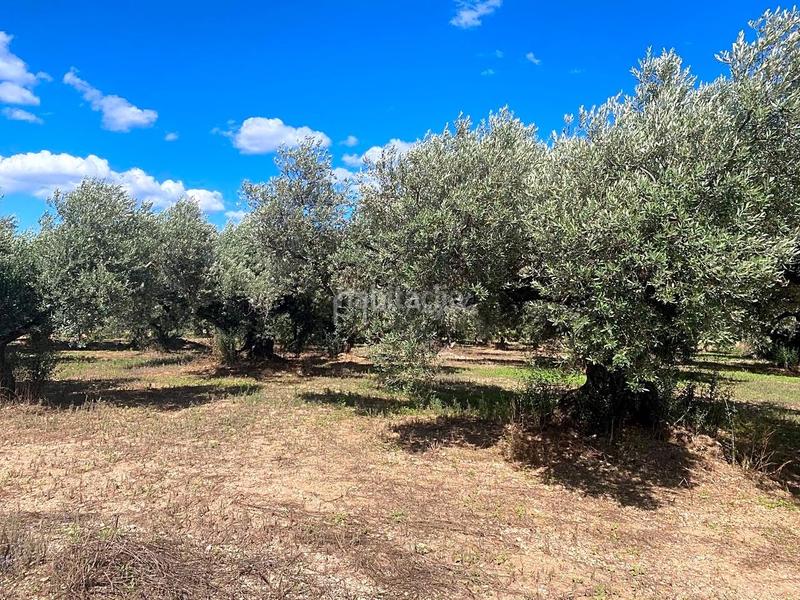 Foto f58320d5-a255-49b5-9105-de06675d1c3b. Fondo rustico in Aldover