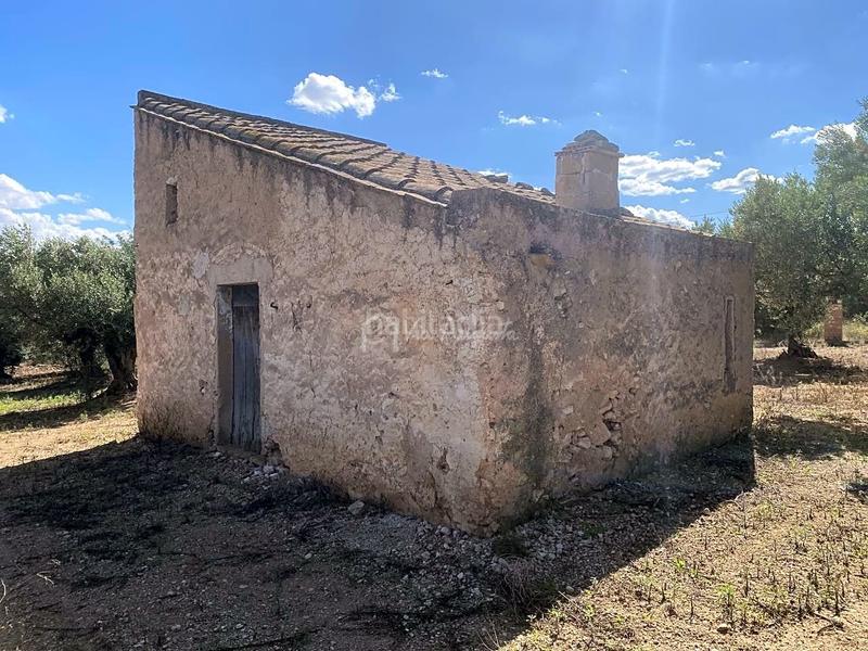 Foto f6872c1a-bba4-4023-a1a4-1156c234ddf1. Fondo rustico in Aldover