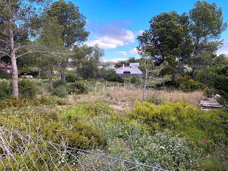 Foto 5e4ef61d-f795-4e83-90d3-4235280f9810. Terreno residencial en Sant Jordi D´Alfama Ametlla de Mar (L´)