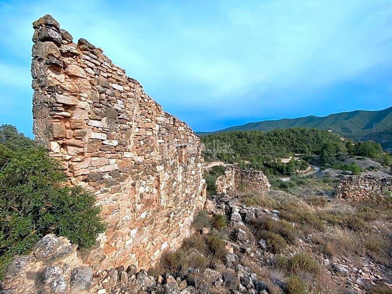 Foto 050b5cc0-5ce1-4afd-9989-0b7ea1690d75. Finca rústica a Riba-roja d´Ebre