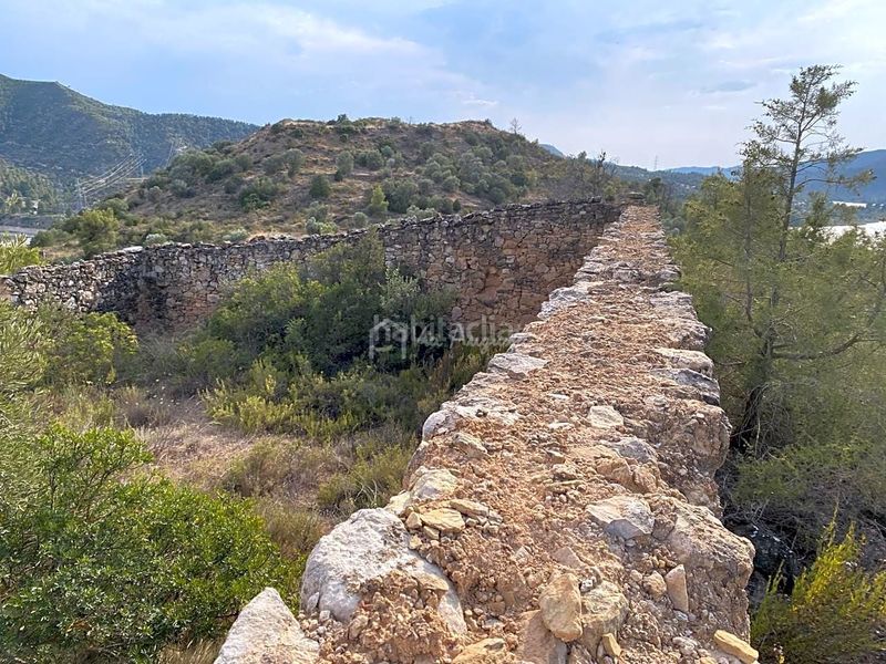 Foto 06dce42a-d070-4b60-8516-a89c2788786a. Finca rústica a Riba-roja d´Ebre