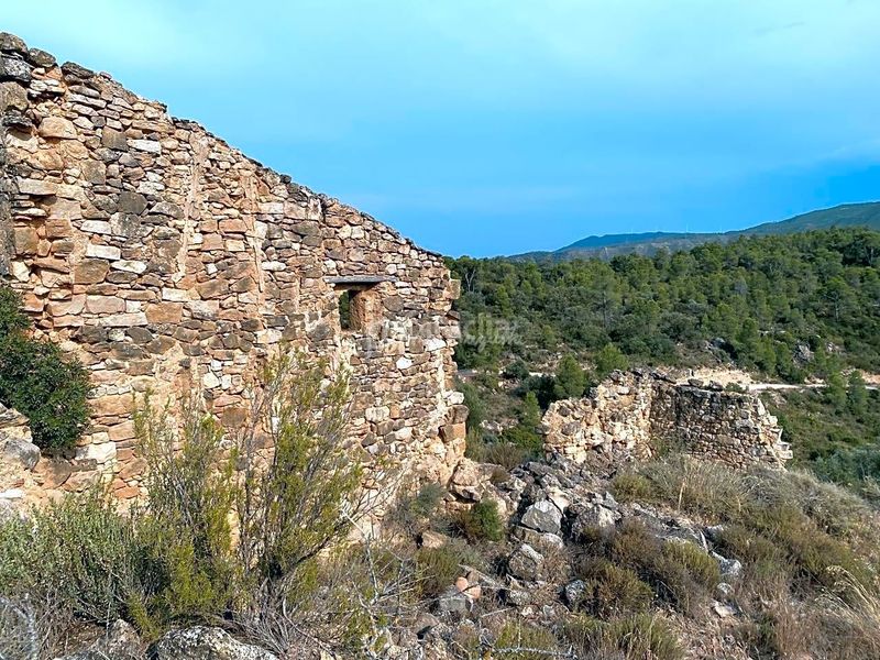 Foto 0a996af4-12ad-4203-8a7d-5b4ede8a12bd. Finca rústica a Riba-roja d´Ebre