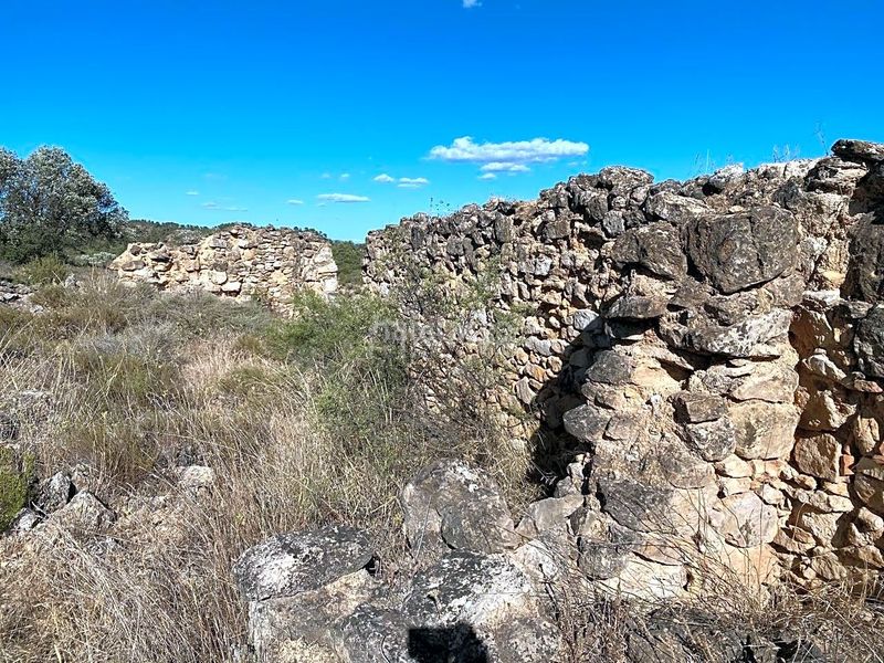 Foto 0d8a5d0c-6d2a-4193-bd70-4cf4782feafd. Finca rústica a Riba-roja d´Ebre