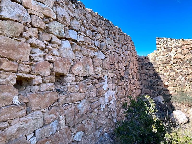 Foto 0e778603-5c7e-4d6e-a037-15fc89230965. Finca rústica a Riba-roja d´Ebre