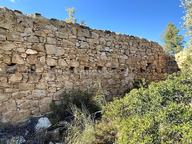 Foto 13fca4af-f105-4606-8242-9a873827d3d8. Finca rústica a Riba-roja d´Ebre