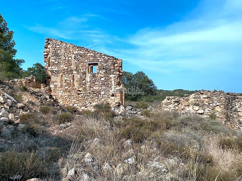 Foto 19174a62-99c2-4fb7-919d-6b7421236f78. Finca rústica a Riba-roja d´Ebre