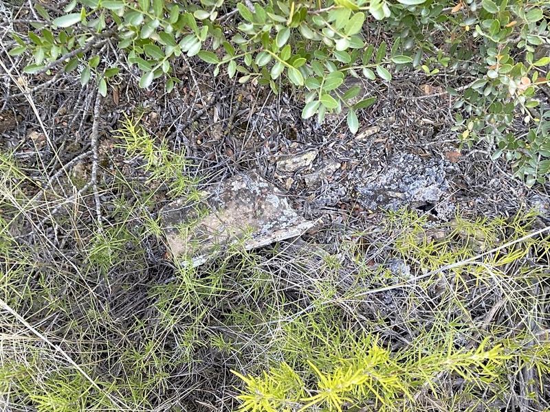 Foto 197ce790-17ba-479e-9d51-31d7d13f9a21. Finca rústica a Riba-roja d´Ebre