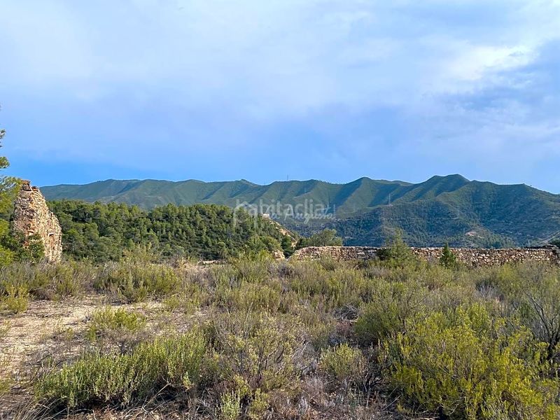 Foto 1af78236-9679-4d6d-8037-69bb7414fb01. Finca rústica a Riba-roja d´Ebre