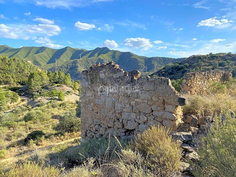 Foto 31b61fcf-2be7-4eaa-8fec-c52b8489a199. Finca rústica a Riba-roja d´Ebre