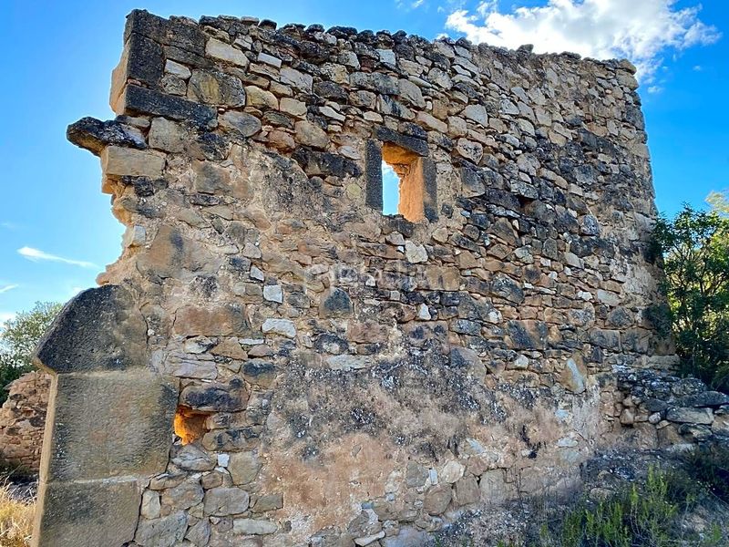 Foto 37d42b61-5aa9-4817-8dd5-19de60585225. Finca rústica a Riba-roja d´Ebre