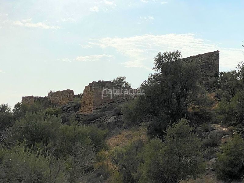 Foto 5426d88f-0ca3-46e6-99de-482bf8ef024f. Finca rústica a Riba-roja d´Ebre