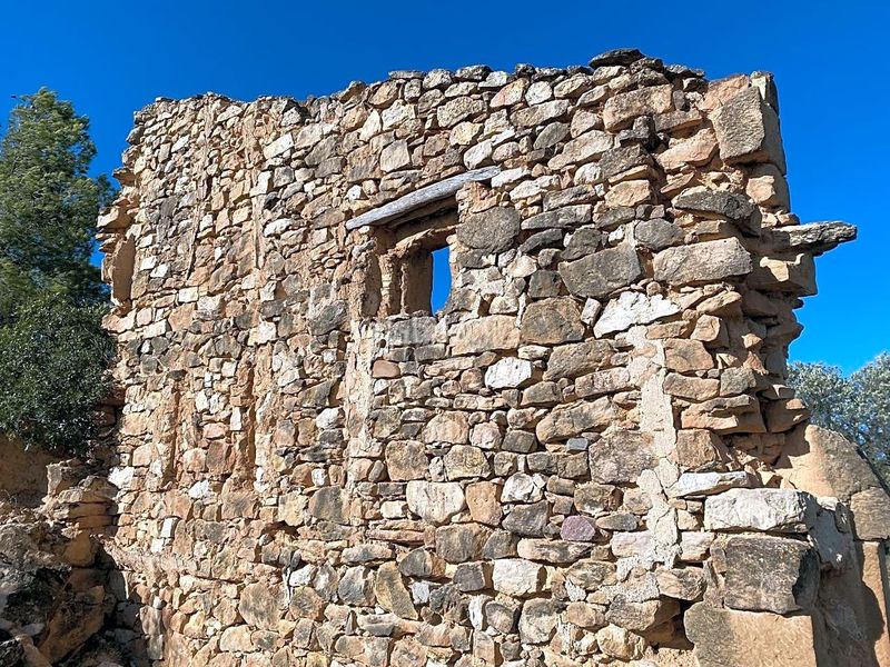 Foto 5622fe43-0227-4f7f-ba9d-317d5767cb5d. Finca rústica a Riba-roja d´Ebre