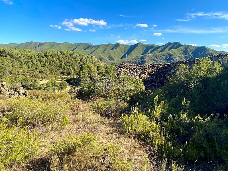 Foto 5c17099e-7a04-4e5b-800e-4f60d39d576f. Finca rústica a Riba-roja d´Ebre