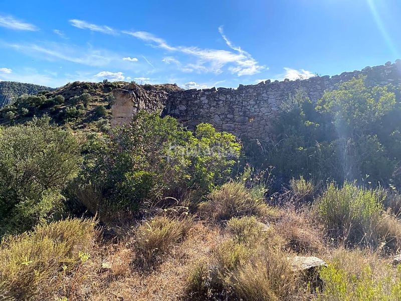 Foto 656a1da9-ee69-42d5-81b1-86585e31cd53. Finca rústica a Riba-roja d´Ebre