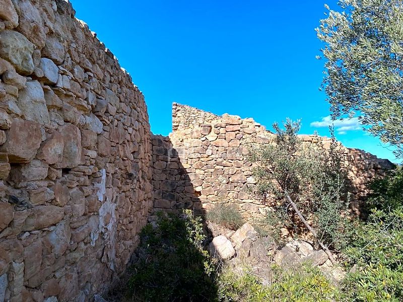 Foto 68c193e7-0850-49a9-8570-d6c3bd5f0b35. Finca rústica a Riba-roja d´Ebre