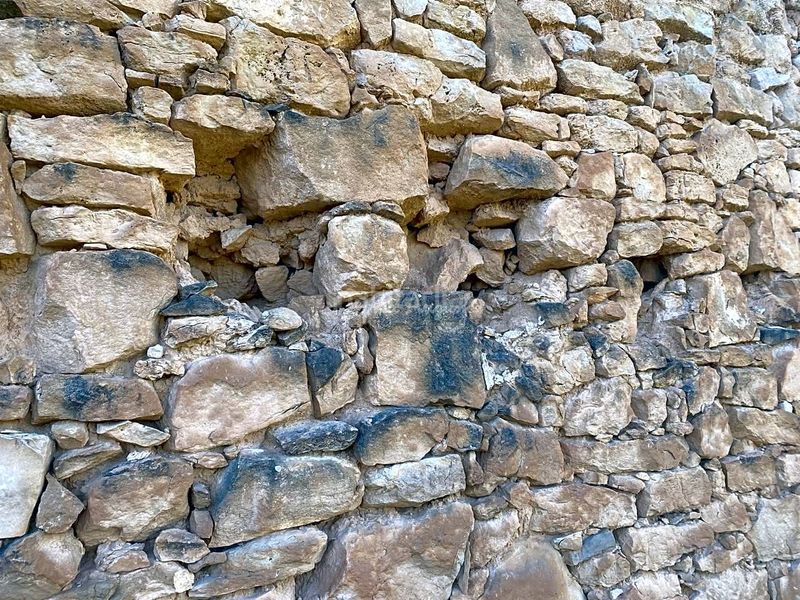 Foto 6cfab59b-14e3-4401-8dad-04e7ea3249b2. Finca rústica a Riba-roja d´Ebre