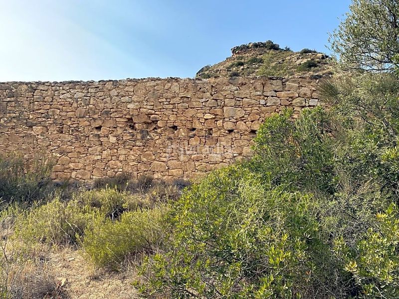 Foto 713686aa-e81e-491d-96fb-370b7756964b. Finca rústica a Riba-roja d´Ebre