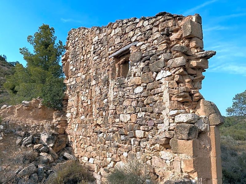 Foto 7d5c0947-6338-46ac-9309-b916c1bc5cc9. Finca rústica a Riba-roja d´Ebre