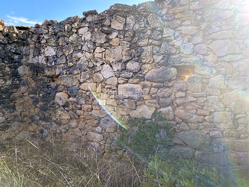 Foto 8e64919b-c45e-43f9-9013-7eae4f512e29. Finca rústica a Riba-roja d´Ebre