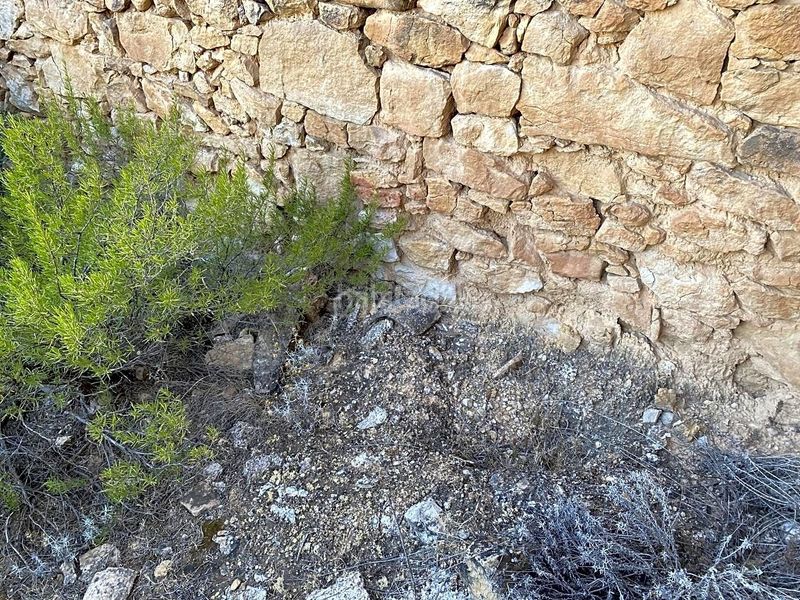 Foto 9174aaf8-e438-4706-90c3-090648dc1540. Finca rústica a Riba-roja d´Ebre