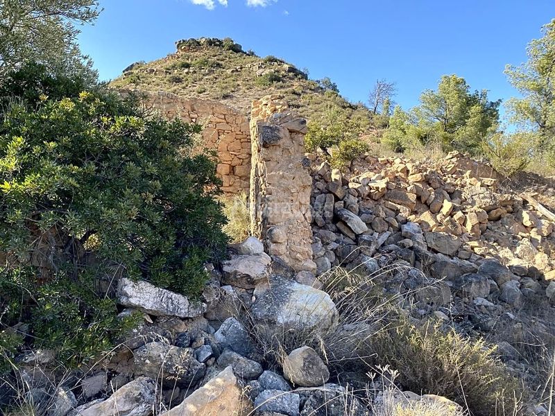 Foto a4f3b8d0-0dfc-4168-a820-470008f04bf2. Finca rústica a Riba-roja d´Ebre