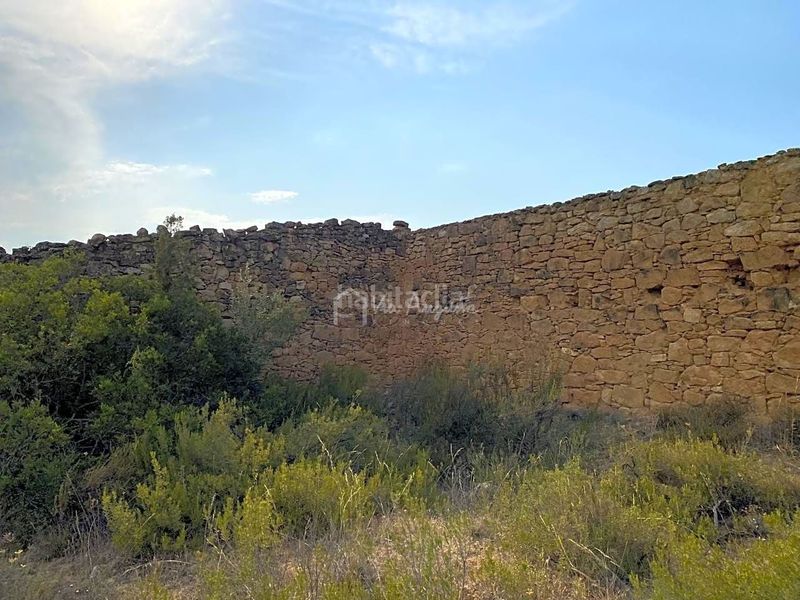 Foto b1deb4f2-e434-4198-9b5e-ba728a97ada0. Finca rústica a Riba-roja d´Ebre