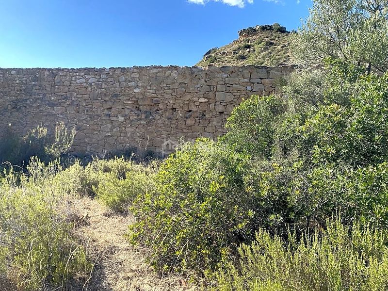 Foto b20285d2-25e0-4db4-89a2-ec9d3394cdbc. Finca rústica a Riba-roja d´Ebre