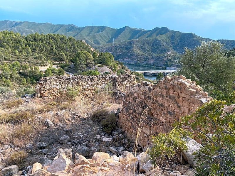 Foto cb643d20-d5e2-4a36-bb57-2727e5de5ce9. Finca rústica a Riba-roja d´Ebre