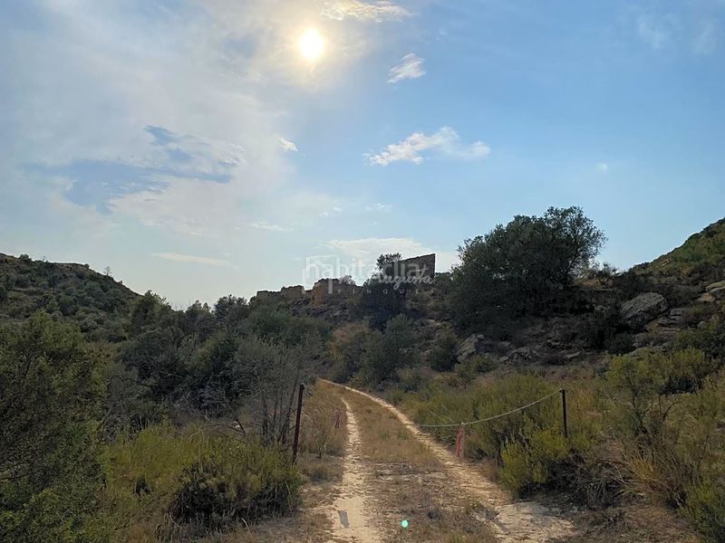 Foto d59f4c7b-07c4-43c7-bcf7-df6d607cca80. Finca rústica a Riba-roja d´Ebre