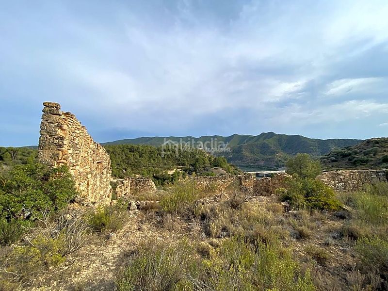 Foto e0010ca2-0721-4732-8b1d-12260e9d3de9. Finca rústica a Riba-roja d´Ebre