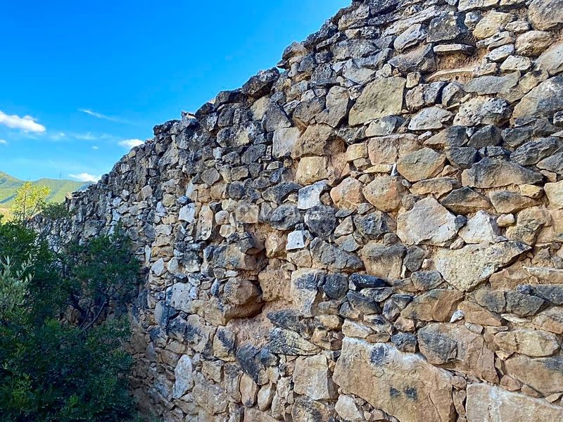 Foto e5526411-ca24-4406-999b-63606b8bfba9. Finca rústica a Riba-roja d´Ebre