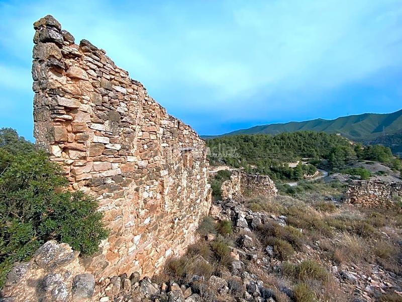 Foto 050b5cc0-5ce1-4afd-9989-0b7ea1690d75. Finca rústica en Riba-roja d´Ebre