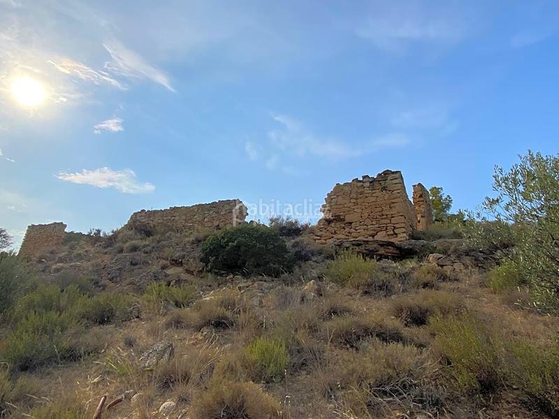 Foto 12051fc6-8d38-4ce0-bae3-8b94682d447b. Finca rústica en Riba-roja d´Ebre