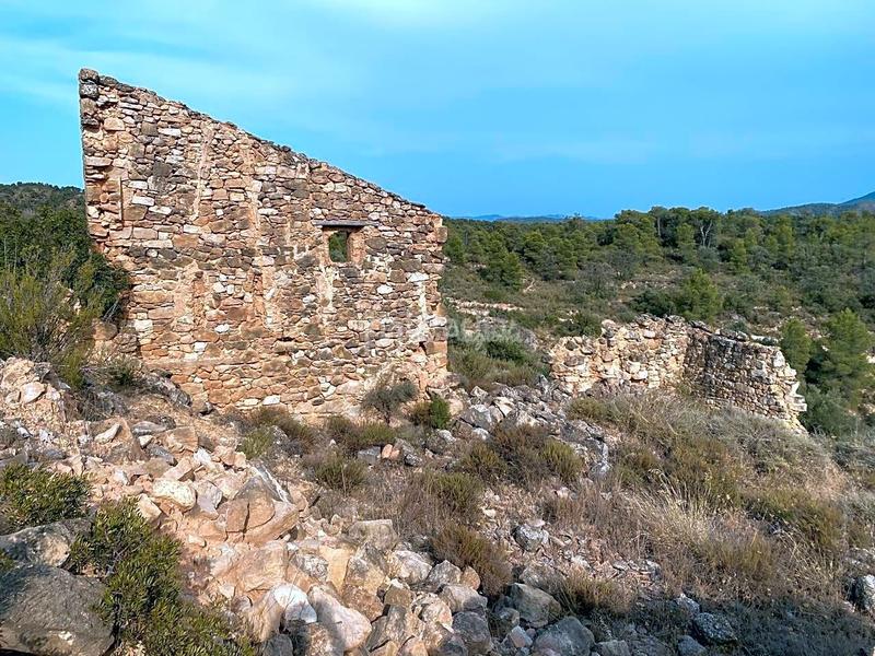 Foto 3cbec182-f961-4c39-9d3b-1f50b164c736. Finca rústica en Riba-roja d´Ebre