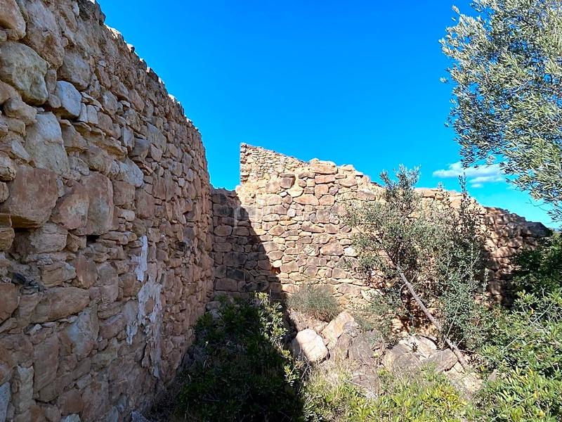 Foto 68c193e7-0850-49a9-8570-d6c3bd5f0b35. Finca rústica en Riba-roja d´Ebre