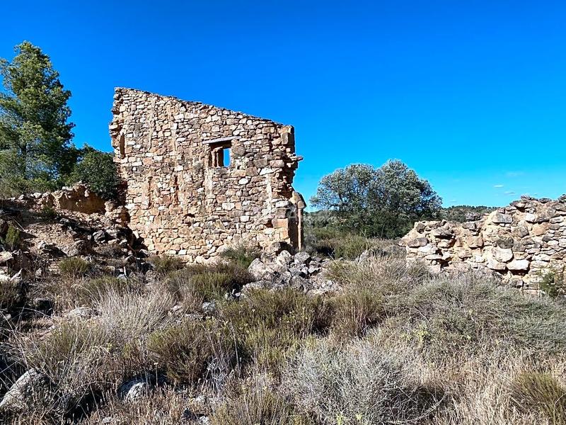 Foto 701c5d75-370d-4120-a68f-3e3b1c1aa668. Finca rústica en Riba-roja d´Ebre