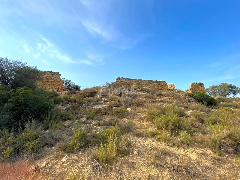 Foto ac202968-e36e-4de4-be96-edcd0edca00a. Finca rústica en Riba-roja d´Ebre