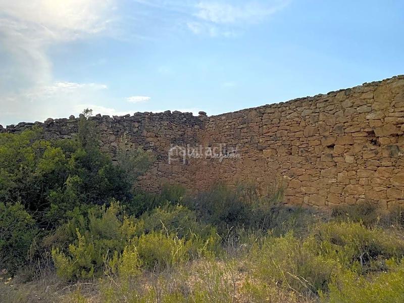 Foto b1deb4f2-e434-4198-9b5e-ba728a97ada0. Finca rústica en Riba-roja d´Ebre