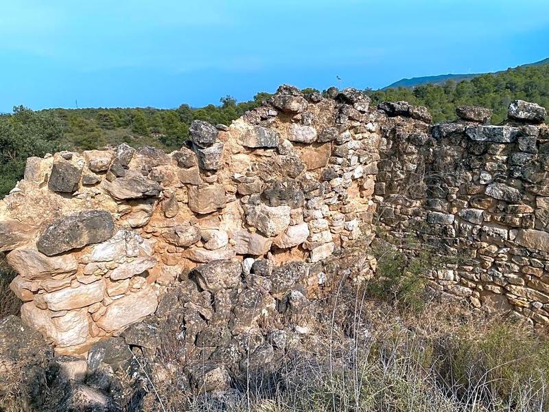 Foto b236d182-0825-4b07-9e7d-fdf2f05a50b5. Finca rústica en Riba-roja d´Ebre