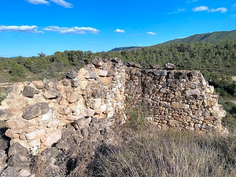 Foto b470efe7-bdfd-4cc6-8ced-5213d3b1038e. Finca rústica en Riba-roja d´Ebre