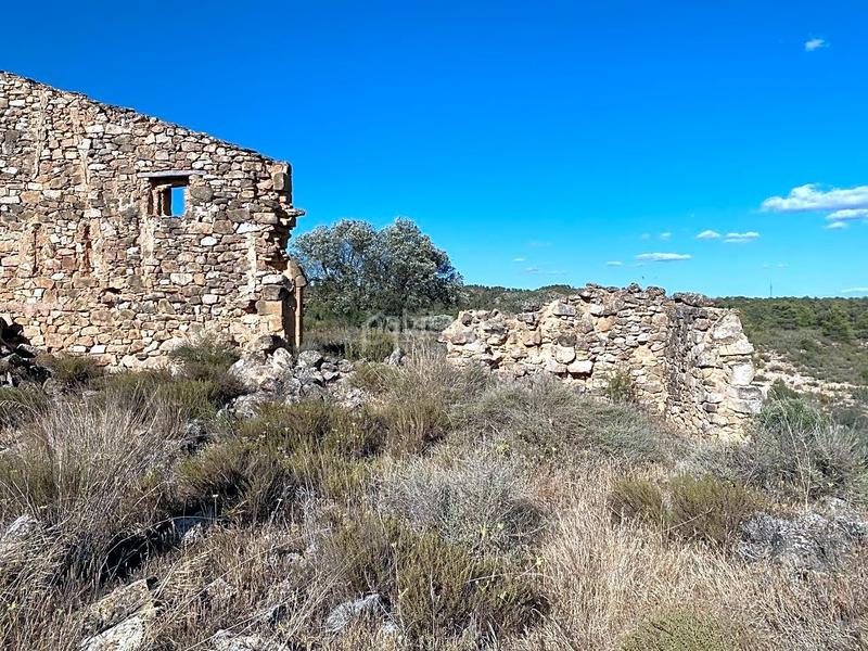Foto dc6e0673-f203-4128-9673-23c50adaaa7c. Finca rústica en Riba-roja d´Ebre
