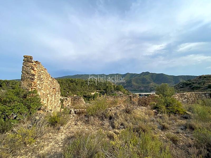 Foto e0010ca2-0721-4732-8b1d-12260e9d3de9. Finca rústica en Riba-roja d´Ebre