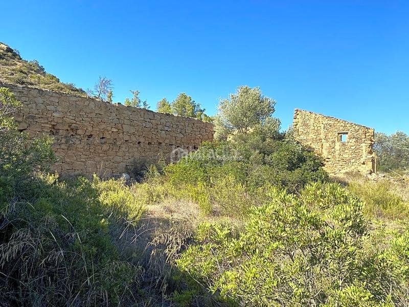 Foto e9b66390-94b4-4417-bd4b-c94555514d4e. Finca rústica en Riba-roja d´Ebre