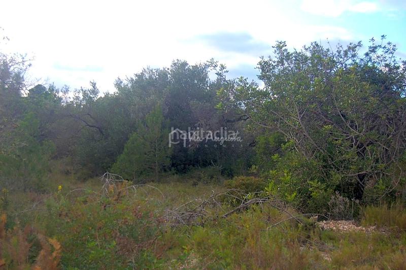 Foto 673c2ff6-c980-46d6-a236-a9d4df364220. Rural plot in L´Ametlla de Mar Ametlla de Mar (L´)