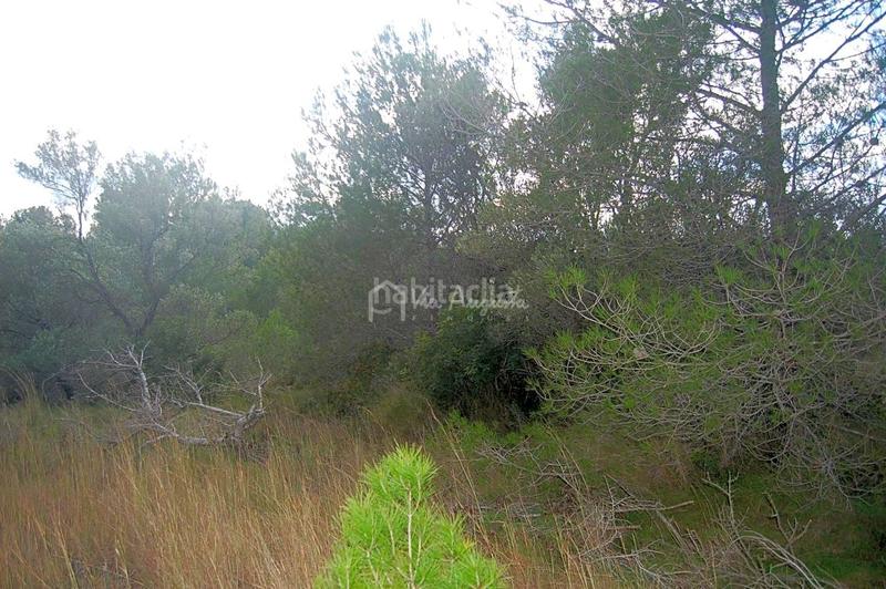 Foto b21fb35e-89b8-4786-9194-e9cdf0686bad. Rural plot in L´Ametlla de Mar Ametlla de Mar (L´)